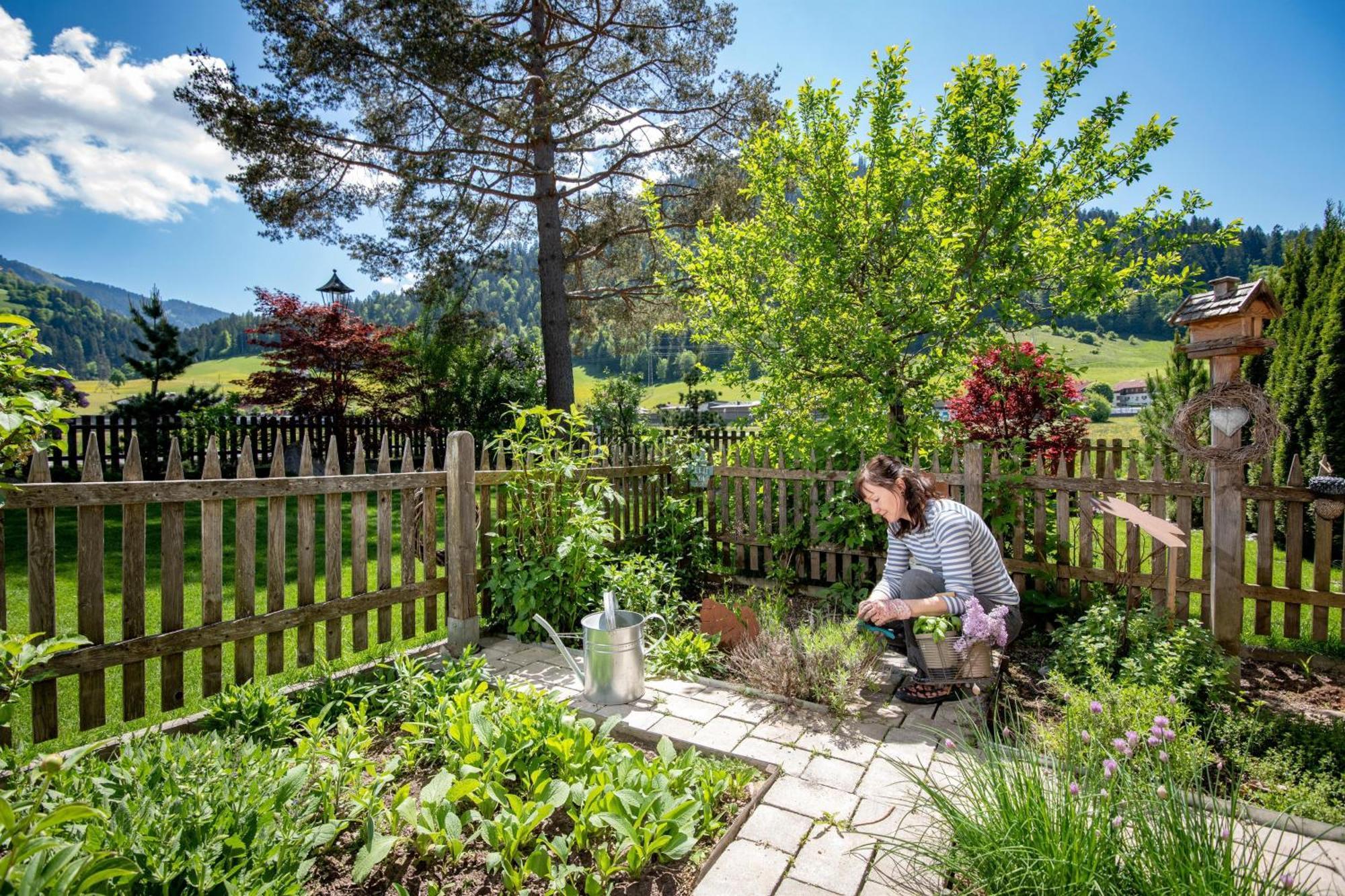 Pension Edelweiss Söll Esterno foto